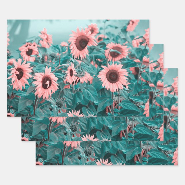 Riesen-Sonnenblumen Rosa Aquamarines Blumenmoor Ku Geschenkpapier Set (Set)