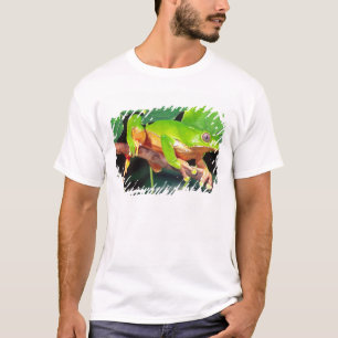 Riesen-Zweifarben-Affen-Laubfrosch, Phyllomedusa T-Shirt
