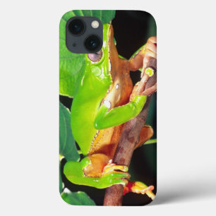 Riesen-Zweifarbiger-Affen-Laubfrosch, Phyllomedusa Case-Mate iPhone Hülle