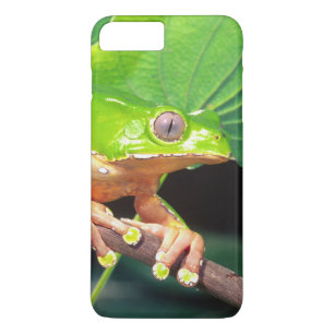 Riesen-Zweifarbiger-Affen-Laubfrosch, Phyllomedusa Case-Mate iPhone Hülle