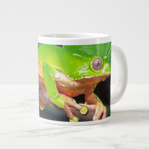 Riesen-Zweifarbiger-Affen-Laubfrosch, Phyllomedusa Jumbo-Tasse