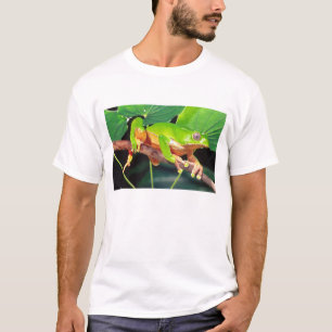Riesen-Zweifarbiger-Affen-Laubfrosch, Phyllomedusa T-Shirt