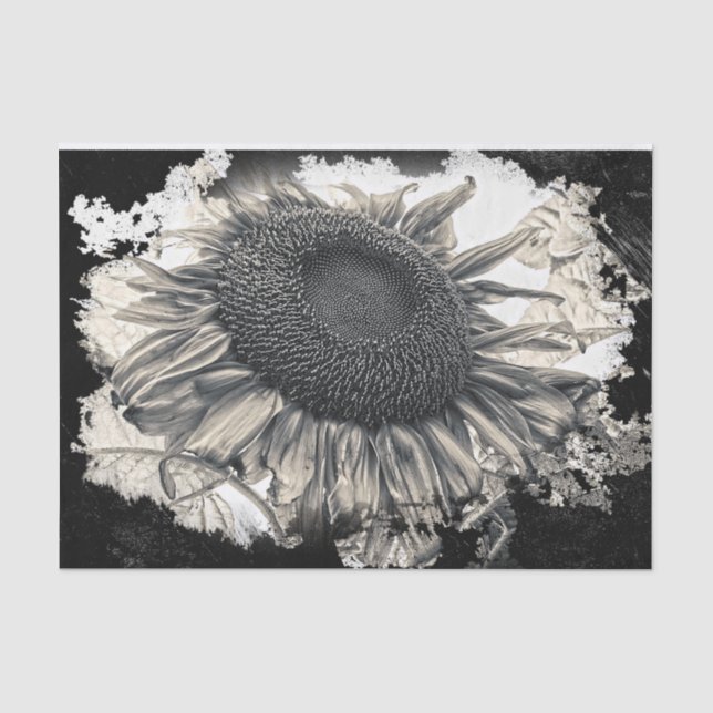 Riesenblumen Sepia Schwarz-weiß Vintag Seidenpapier (Vorderseite)
