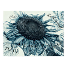 Riesenblumen Vintag Art Aquamarin Blue Ephemera