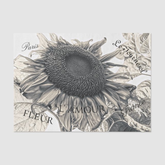 Riesenblumen Vintag Sepia Decoupage Ephemera Seidenpapier (Vorderseite)