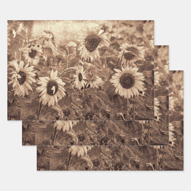 Riesenblüten Blütensepie Geschenkpapier Set (Set)