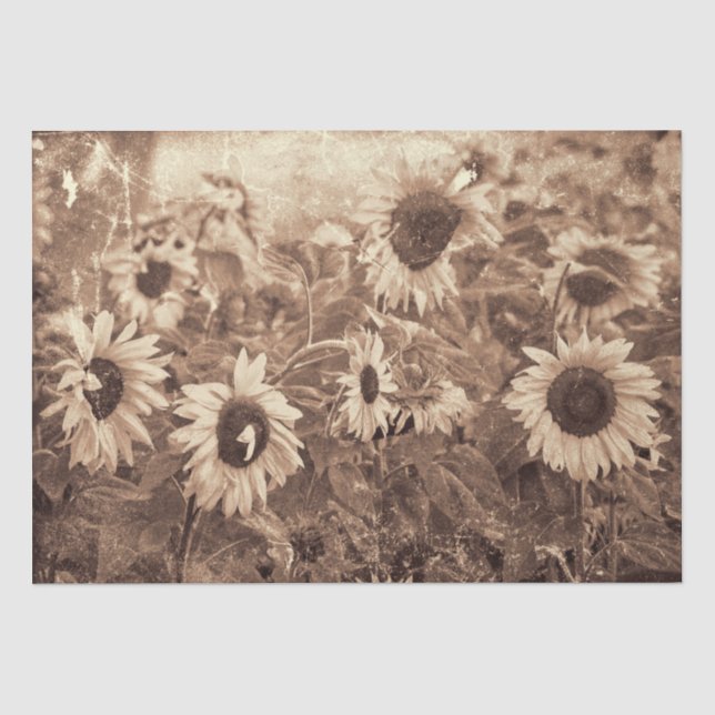 Riesenblüten Sepia Blumenzauber Seidenpapier (Vorderseite)