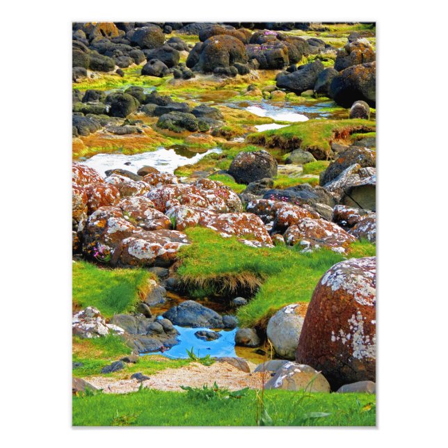 Riesenfaust- Ansicht 2 Fotodruck (Vorne)