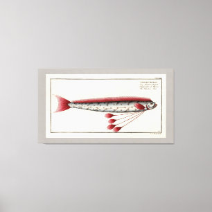 Riesenfisch Vintag drucken Leinwanddruck
