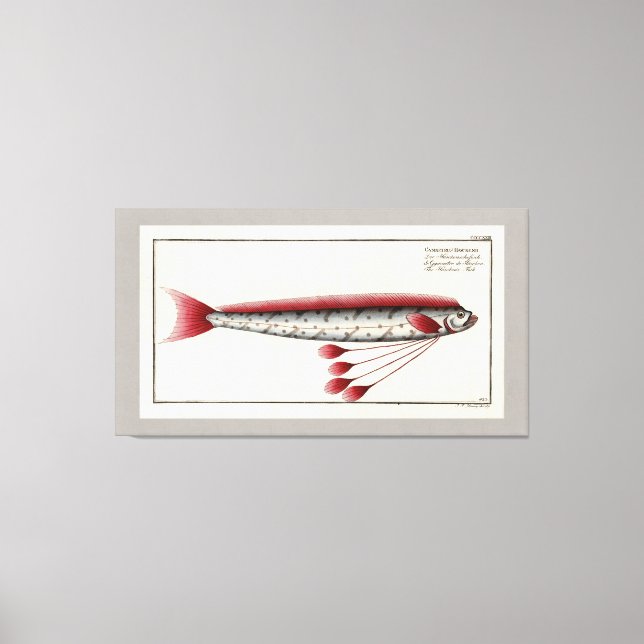 Riesenfisch Vintag drucken Leinwanddruck (Vorderseite)