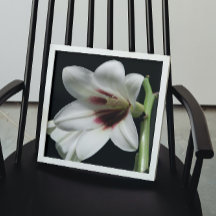 Riesengebirge Himalayan Lily Foto Glossy