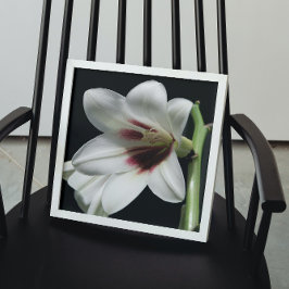 Riesengebirge Himalayan Lily Foto Glossy Poster