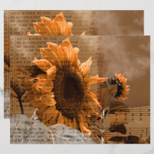 Riesengelbe Sonnenblumen Hymne Musik Rustikales La