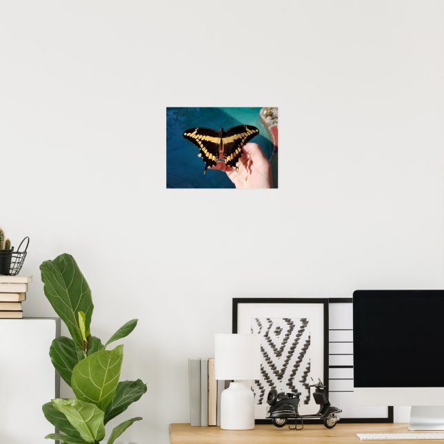 Riesengelbes Frack Butterfly Poster (Heimbüro)