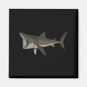 Riesenhaie Magnet