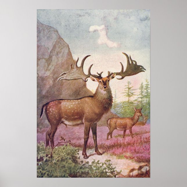 Riesenirische Hirsche prähistorische Tiere Antiqui Poster (Vorne)