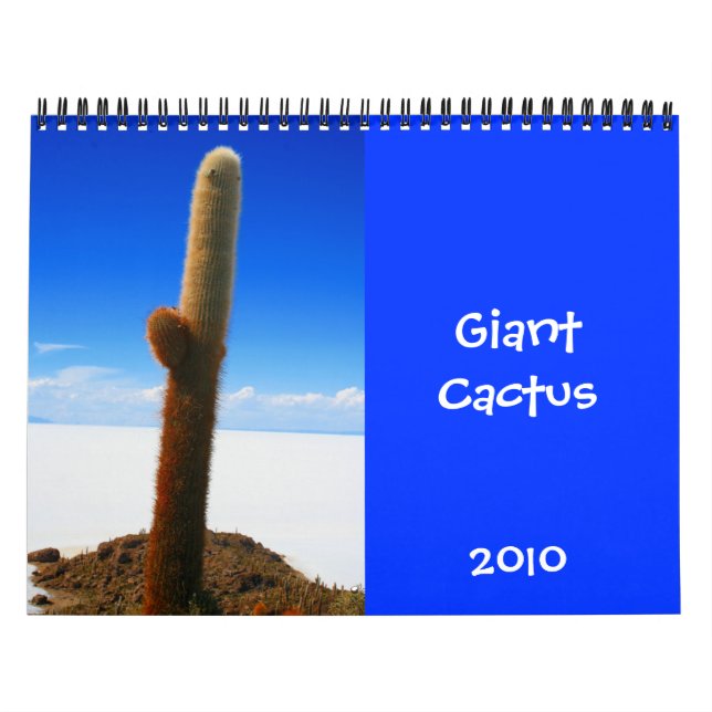 Riesenkaktus 2010 kalender (Titelbild)