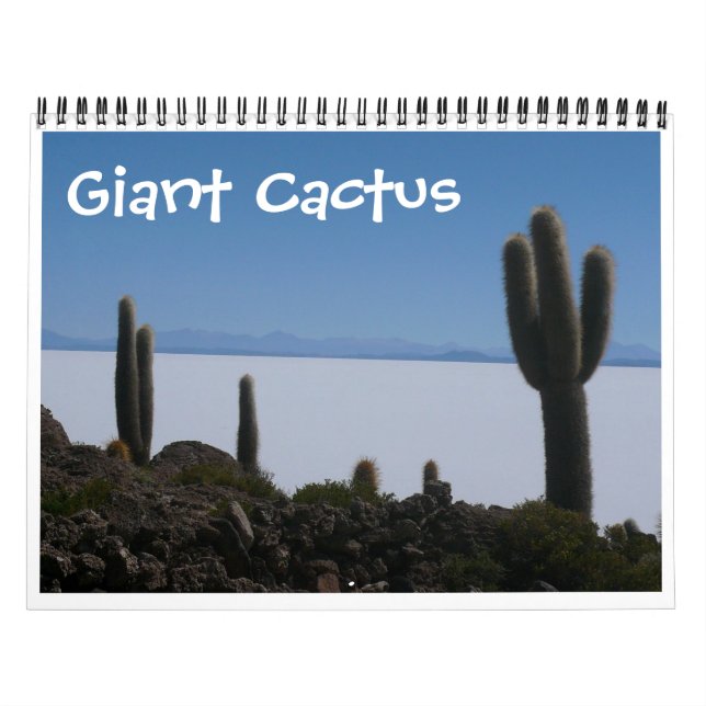 Riesenkaktus 2025 kalender (Titelbild)