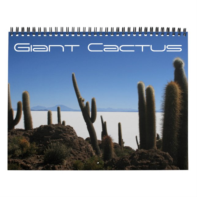 Riesenkaktus 2025 kalender (Titelbild)