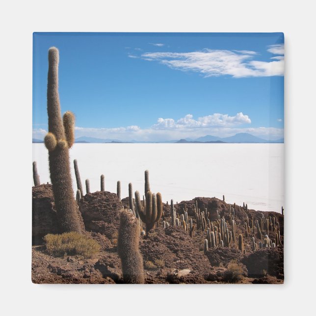 Riesenkaktus am Salar de Uyuni-Magneten Magnet (Vorne)