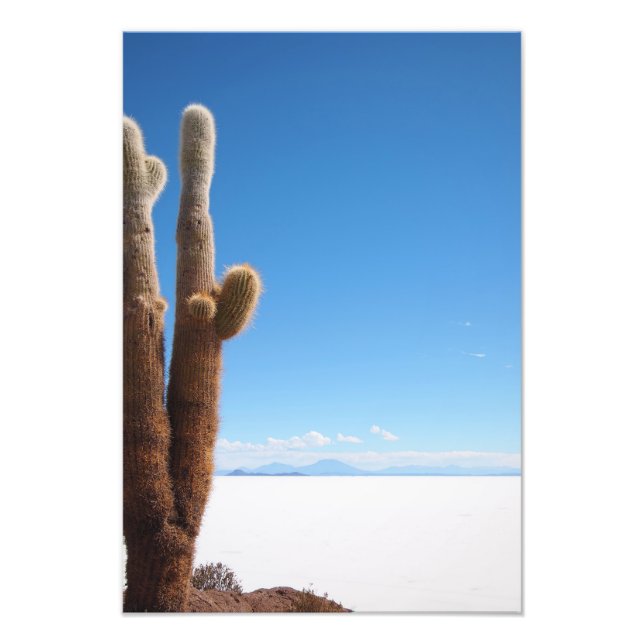 Riesenkaktus auf dem Foto Salar de Uyuni (Vorne)