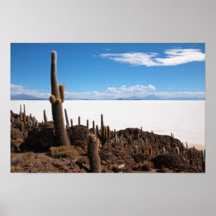 Riesenkaktus im Poster Salar de Uyuni