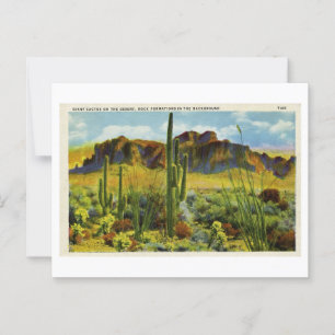 Riesenkaktus in der Vintagen Postkartenlandschaft  Postkarte