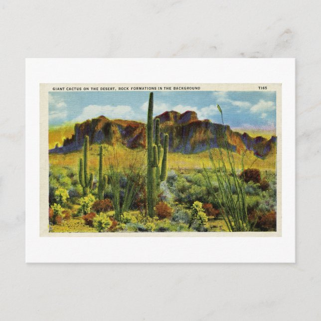 Riesenkaktus in der Vintagen Postkartenlandschaft  Postkarte (Vorderseite)