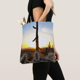Riesenkaktus Saguaro bei Sonnenuntergang in der So Tasche