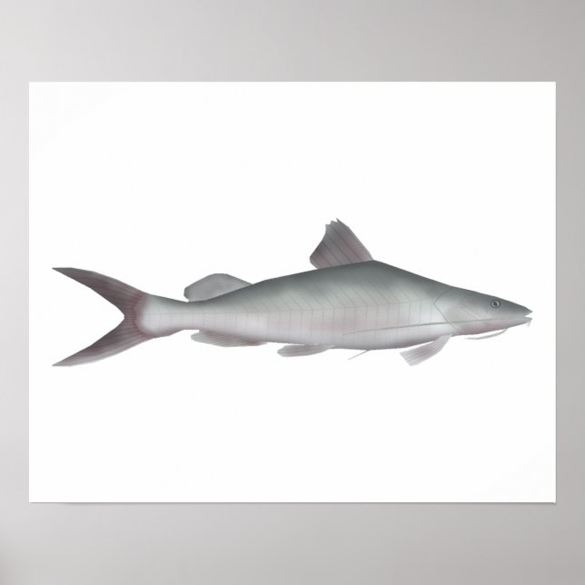 Riesenkatzer Poster (Vorne)