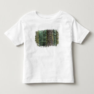 Riesenmammutbäume im Wald, Sequoia und Kleinkind T-shirt