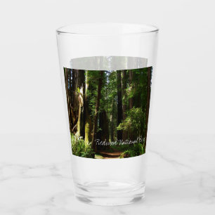 Riesenmammutbäume und Farne im Redwood National Pa Glas