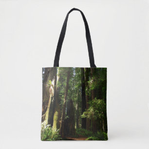 Riesenmammutbäume und Farne im Redwood National Pa Tasche