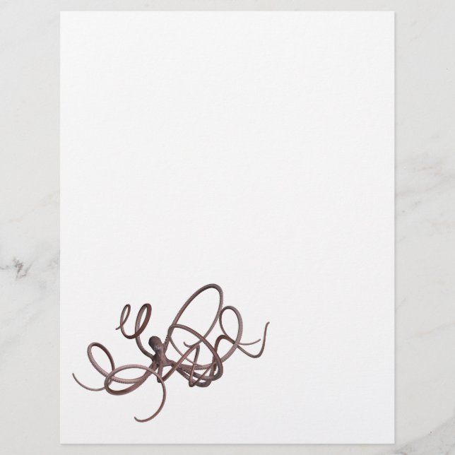 Riesenoctopus (Vorderseite)