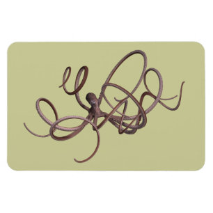 Riesenoctopus Magnet