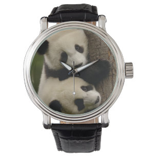 Riesenpanda-Babys (Ailuropoda melanoleuca) 2 Armbanduhr