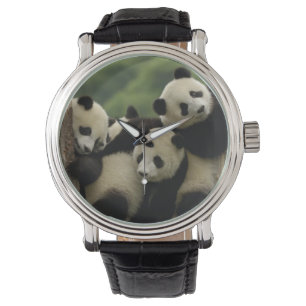 Riesenpanda-Babys Ailuropoda melanoleuca) Armbanduhr