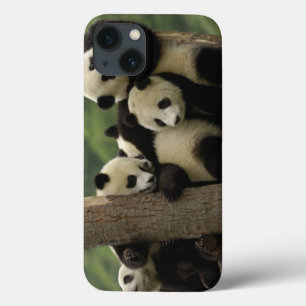 Riesenpanda-Babys Ailuropoda melanoleuca) iPhone 13 Hülle