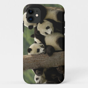Riesenpanda-Babys Ailuropoda melanoleuca) iPhone 11 Hülle