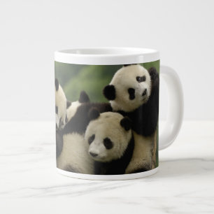 Riesenpanda-Babys Ailuropoda melanoleuca) Jumbo-Tasse