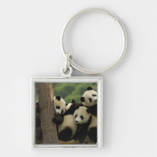 Riesenpanda-Babys Ailuropoda melanoleuca) Schlüsselanhänger