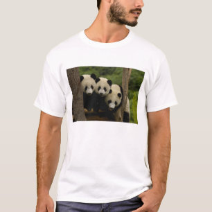 Riesenpanda-Babys Ailuropoda melanoleuca) T-Shirt