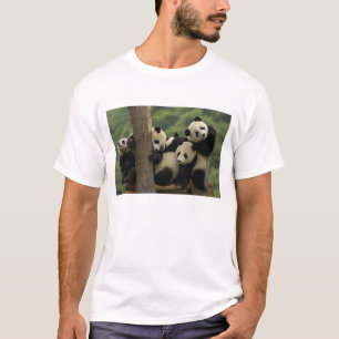 Riesenpanda-Babys Ailuropoda melanoleuca) T-Shirt