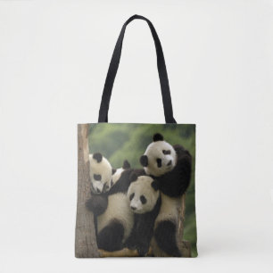 Riesenpanda-Babys Ailuropoda melanoleuca) Tasche