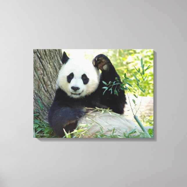 Riesenpanda, die sich gegen den Baum erhebt Leinwanddruck (Vorderseite)
