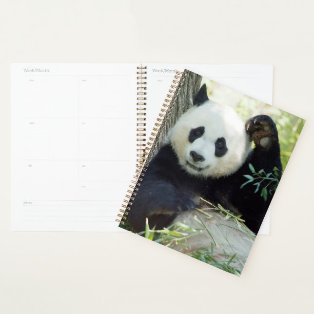 Riesenpanda, die sich gegen den Baum erhebt Planer (Anzeige)