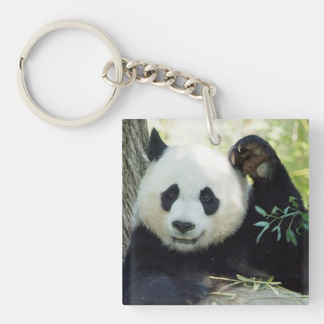 Riesenpanda, die sich gegen den Baum erhebt Schlüsselanhänger (Vorderseite)