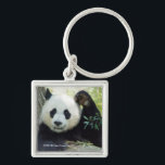 Riesenpanda, die sich gegen den Baum erhebt Schlüsselanhänger<br><div class="desc">Dieses Bild zeigt einen riesigen Panda Weide auf Bambus. Vieles von dem, was riesige Pandas konsumieren, wird als Abfall durch ihr fleischfressähnliches Verdauungssystem weitergegeben. Um die ineffiziente Verdauung auszugleichen, müssen Pandas eine große Menge an Nahrung � 20 bis 40 Pfund Bambus pro Tag konsumieren �, um all ihre Nährstoffe zu...</div>