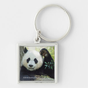 Riesenpanda, die sich gegen den Baum erhebt Schlüsselanhänger
