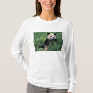 Riesenpanda im Gras, Wolong-Tal, Sichuan T-Shirt